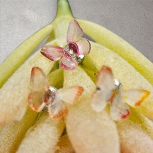 Butterfly Earring Set